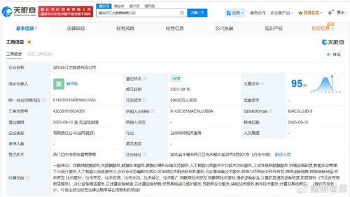 湖北丹江大數(shù)據(jù)公司成立，5億注冊(cè)資本瞄準(zhǔn)數(shù)據(jù)處理服務(wù)新藍(lán)海