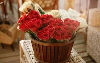 花點(diǎn)時間 上線兩年用戶破500萬，B輪融資引領(lǐng)禮品花卉銷售新潮流